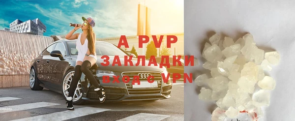 PSILOCYBIN Дрезна