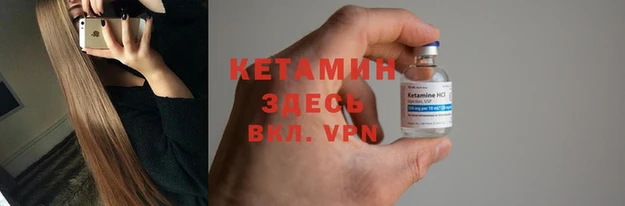 индика Дубовка