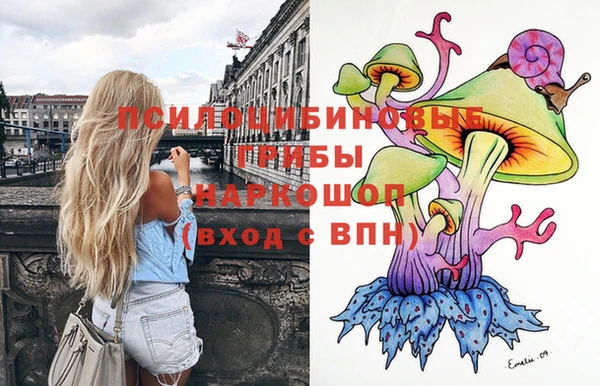 ПСИЛОЦИБИНОВЫЕ ГРИБЫ Ростов