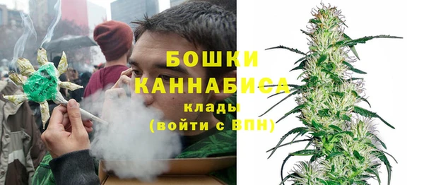 индика Дубовка